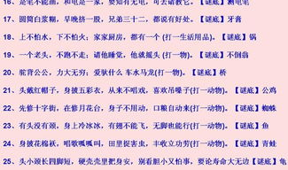 谜语大全儿童3岁简单,儿童乐园里的智慧挑战