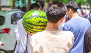 校网吃瓜视频照片,校网吃瓜视频,揭秘校园生活幕后趣闻