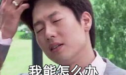 渣男专用壁纸女,捕捉美丽瞬间，唤醒情感共鸣”