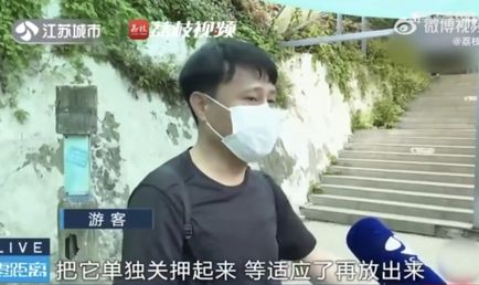 网红吃瓜被打后续,揭秘网红家庭悲剧与网络暴力的阴影