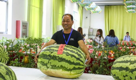 52吃瓜网张津,揭秘52吃瓜网幕后故事